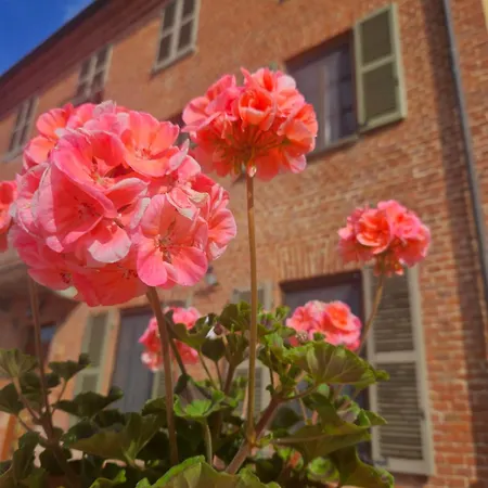 La Rugiada Bed & Breakfast *