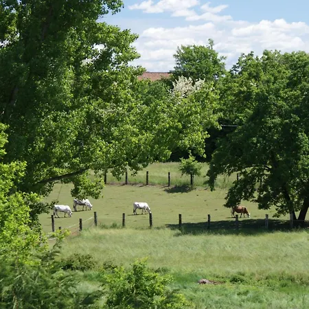 Bed & Breakfast B_b La Rugiada 3*