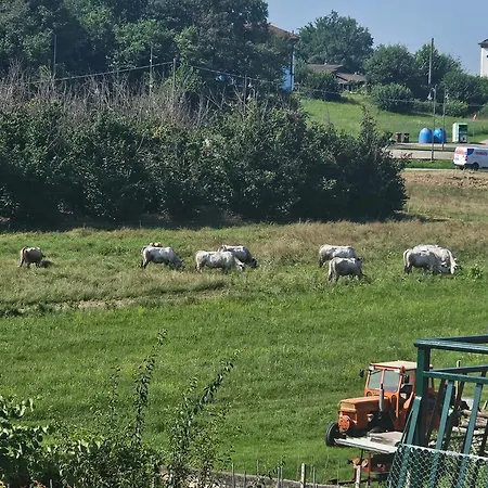 B_b La Rugiada Frühstückspension Tigliole